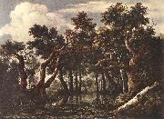 The Marsh in a Forest Jacob van Ruisdael